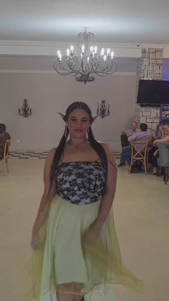 Tinkerbell's Gown